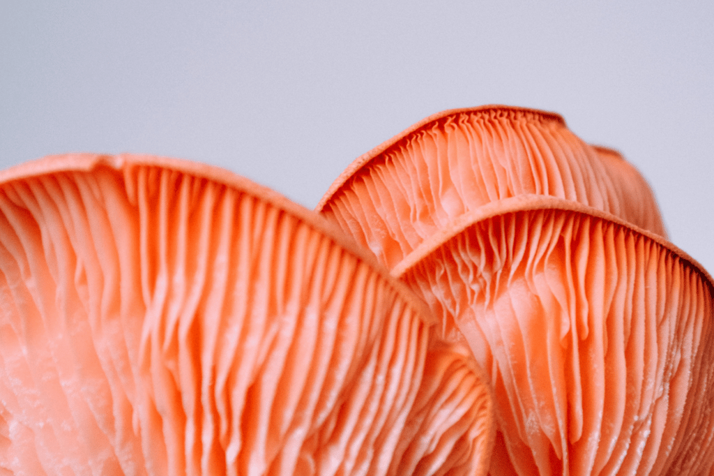 The Vitamin D Sources You Need To Know About