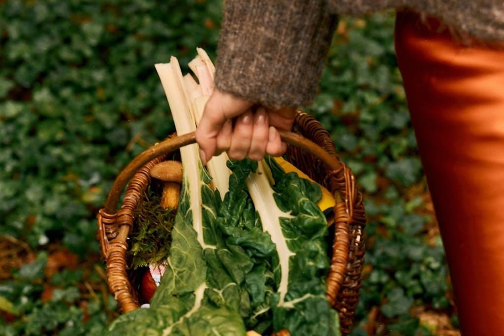 The Return Of Bitter Foods For Metabolic Flexibility
