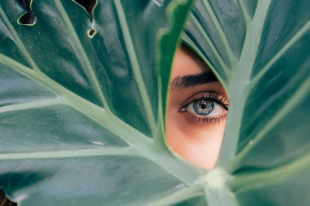 The Skin And Gut Microbiome: The Key To Radiant, Healthy Skin