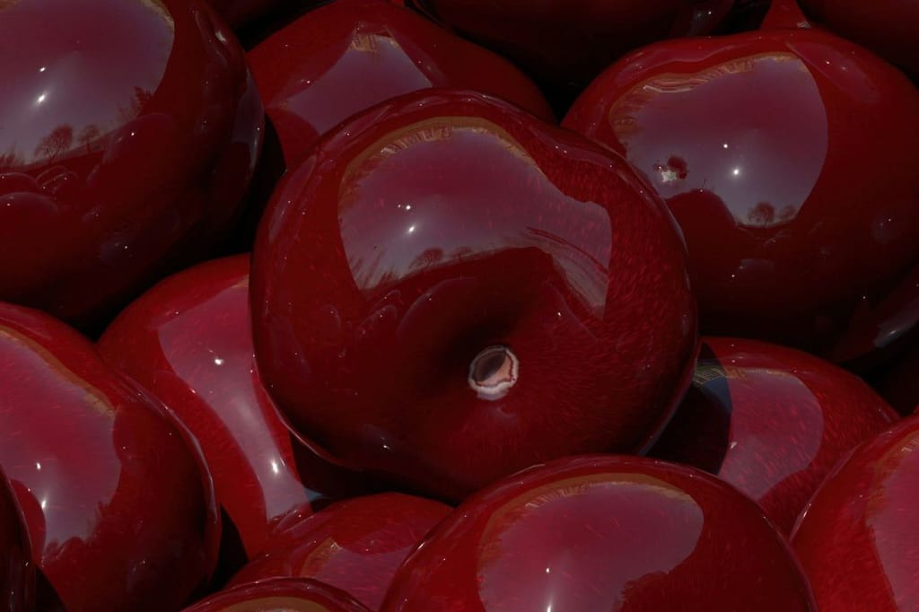 What Your Heart Needs From You: How To Keep It Healthy For Life