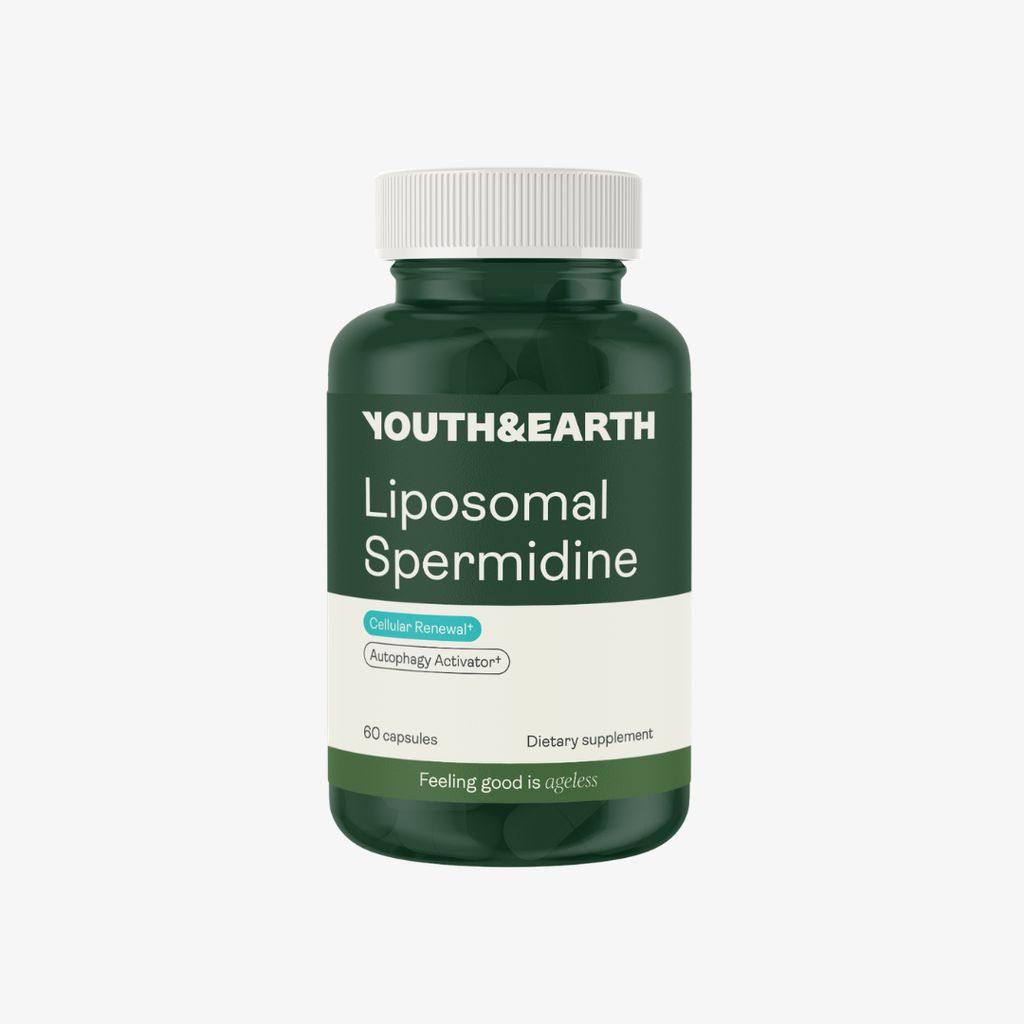 Liposomal Spermidine - Image 1