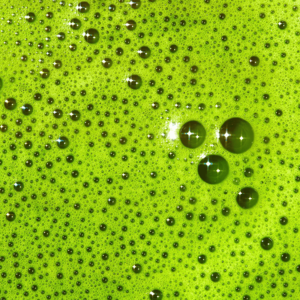 Ceremonial Grade Uji Matcha - Pouch - Image 4