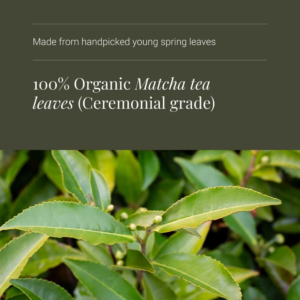 Premium Ceremonial Matcha Powder - Image 4
