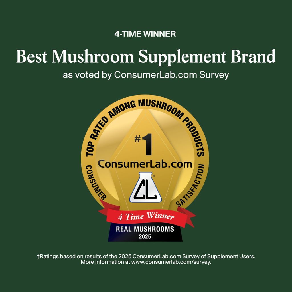 Reishi Powder - Image 8