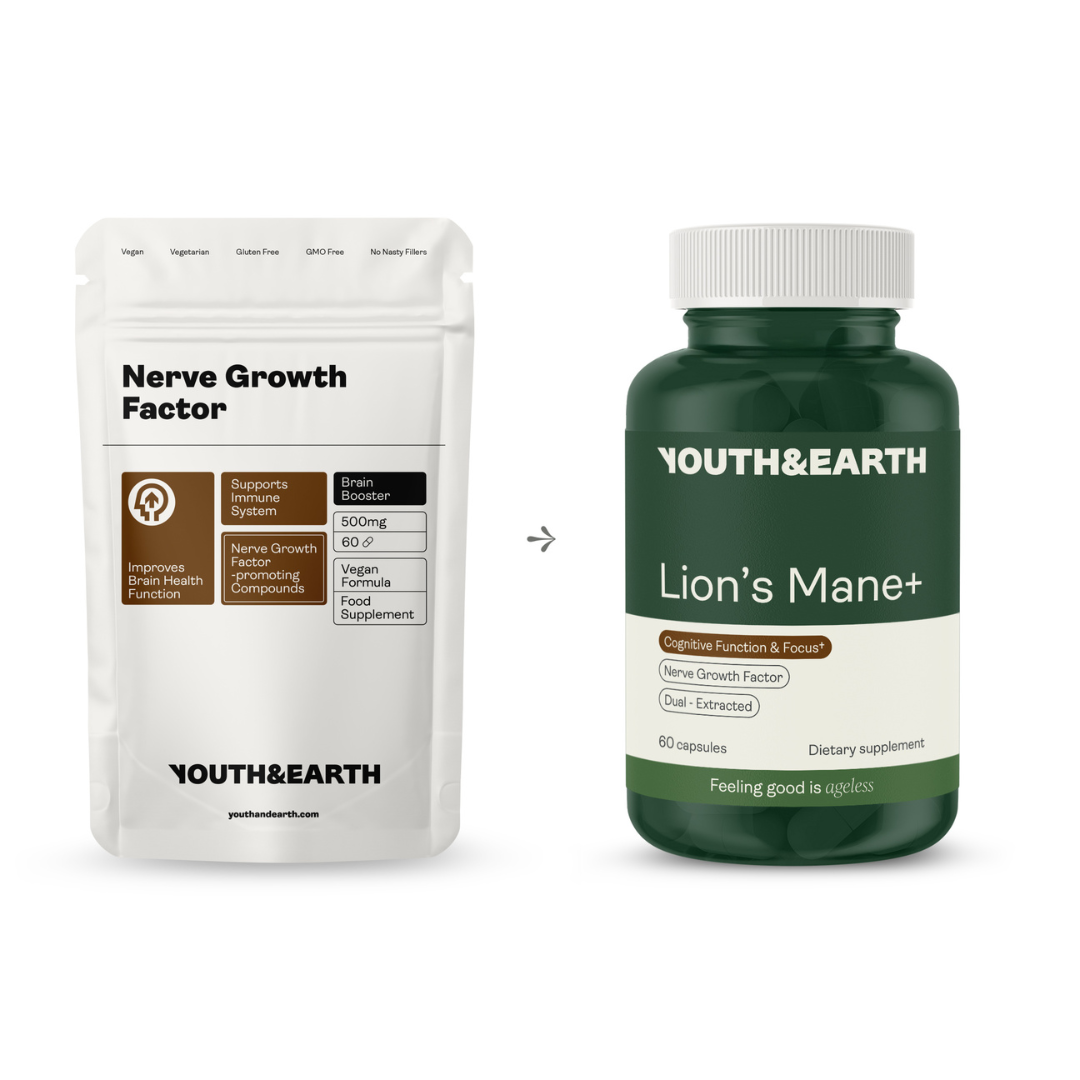 Lion’s Mane+ - Image 4