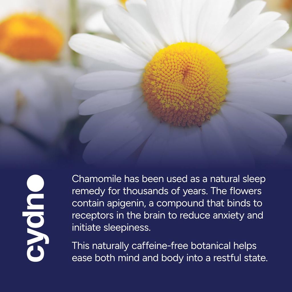 Sleepy Tea - Chamomile - Image 5