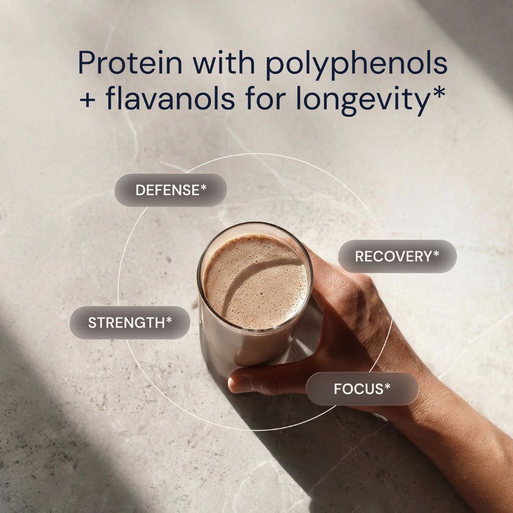 Longevity Protein - Chocolate - Image 3