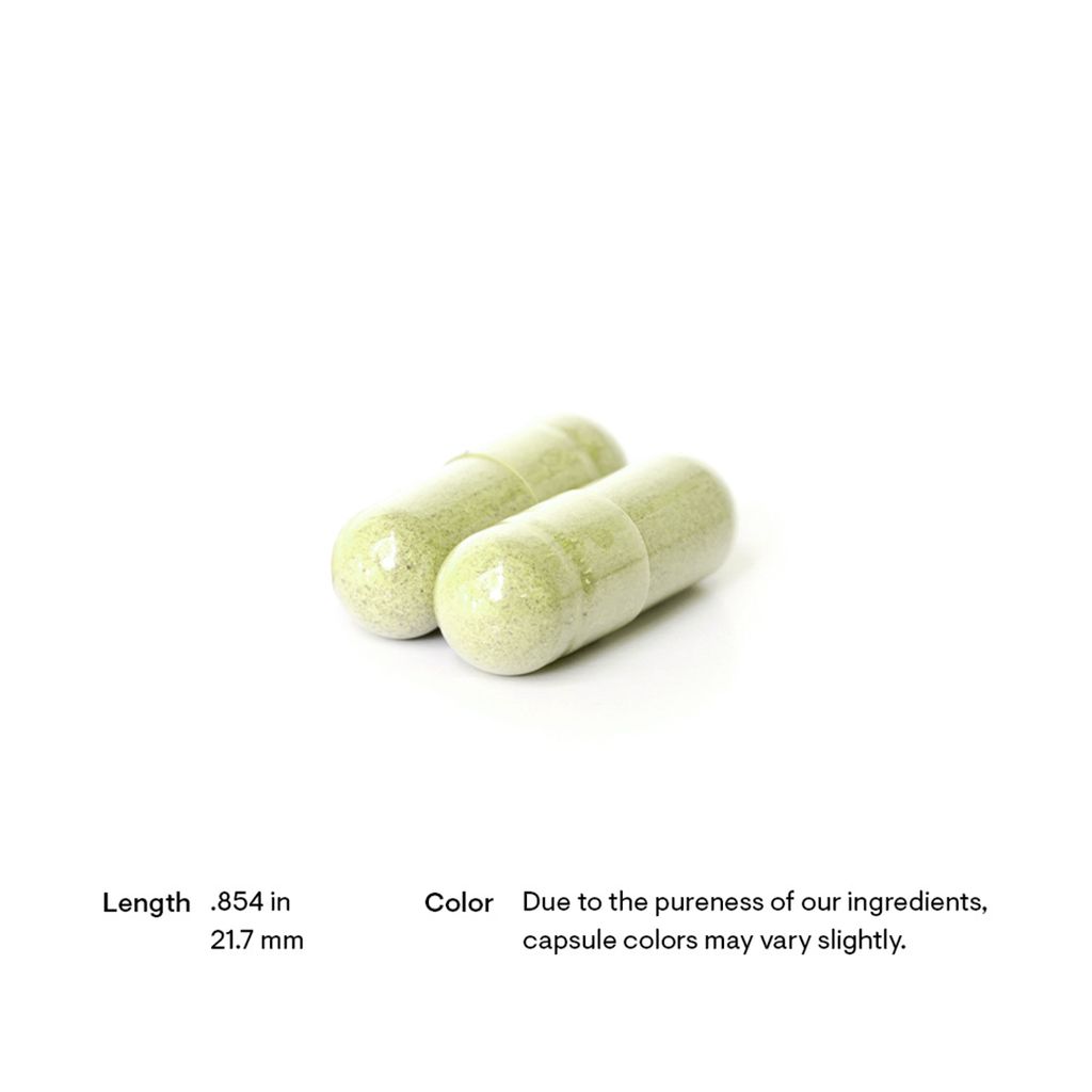 Quercetin Complex (Formerly Quercenase) - Image 5