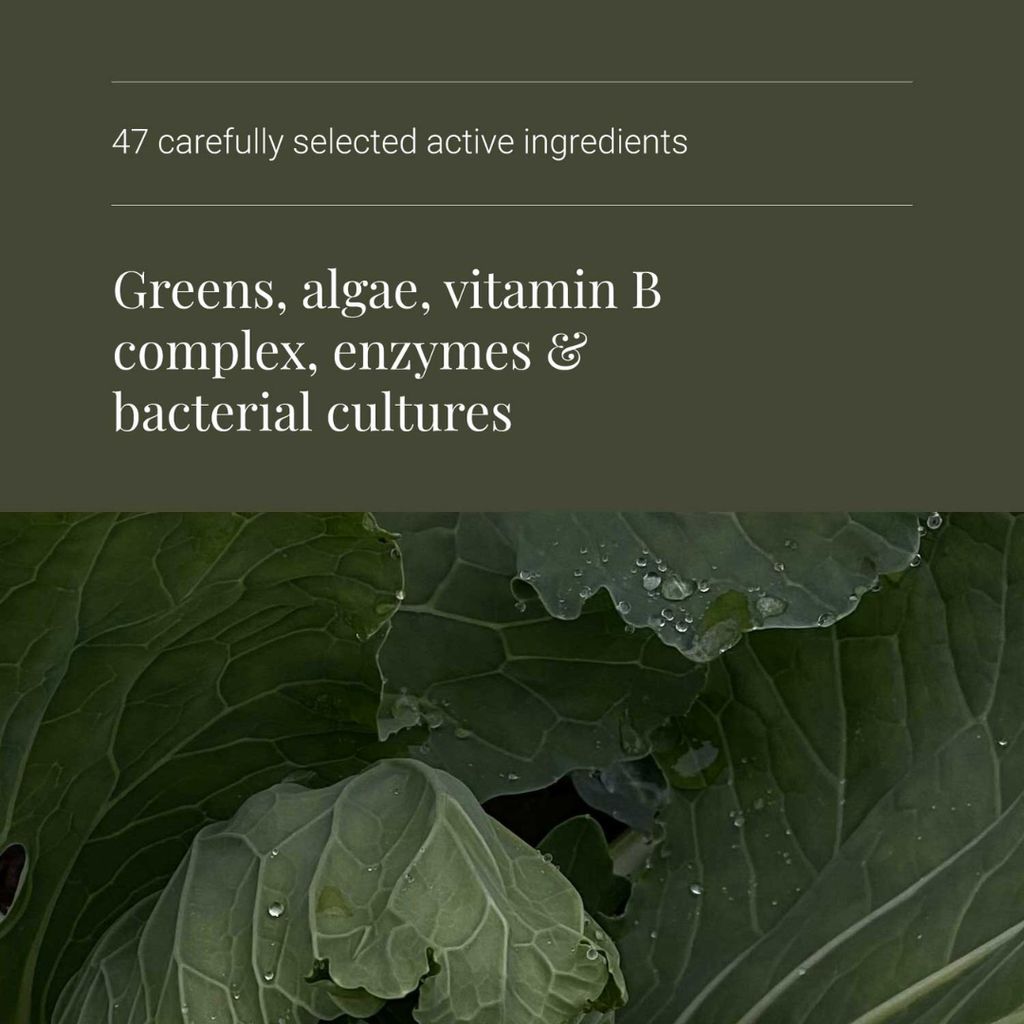 Nature's Living Superfood - Image 4